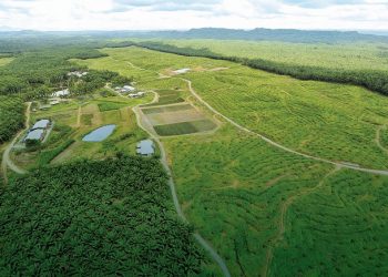 IJM Plantations Optimis Secara Berhati-Hati Terhadap Prospek 2021