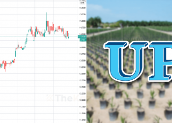 Ambil Tahu 10 Perkara Ini  Sebelum Nak Melabur Saham United Plantations (Edisi: 2020)