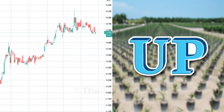 Ambil Tahu 10 Perkara Ini  Sebelum Nak Melabur Saham United Plantations (Edisi: 2020)