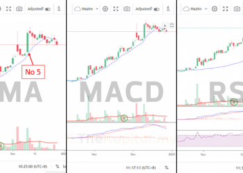 3 Indikator Mudah Untuk Pelabur Baru Gunakan