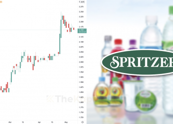 Ambil Tahu 10 Perkara Ini Sebelum Nak Melabur Saham Spritzer