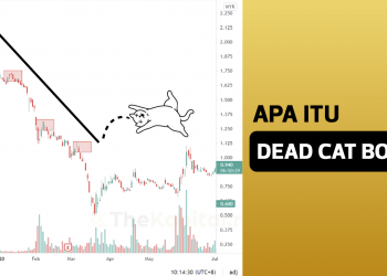 Apa Itu Dead Cat Bounce
