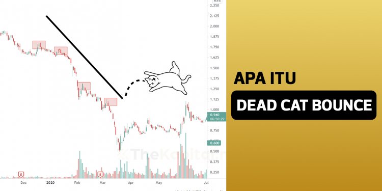 Apa Itu Dead Cat Bounce