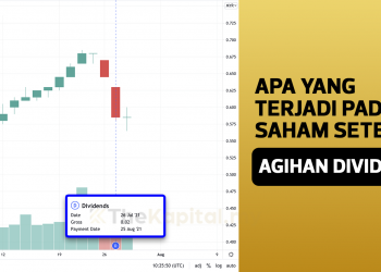 Apa Yang Terjadi Pada Saham Setelah Agihan Dividen?