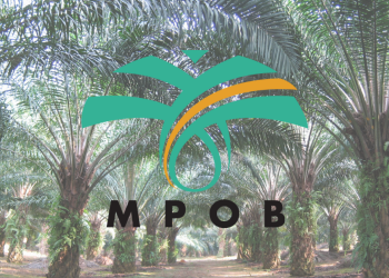 MPOB Akan Laksanakan Strategi Merentasi Lima Teras Dasar Agrikomoditi