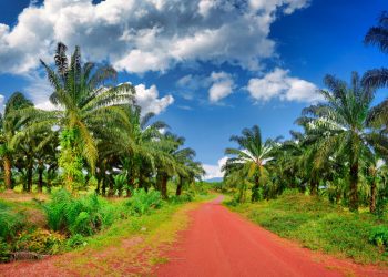 Penganalisis Kekal Positif Terhadap Sektor Perladangan