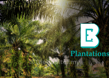 Untung Bersih Boustead Plantations Meningkat Kepada RM435.16 Juta Pada Suku Pertama