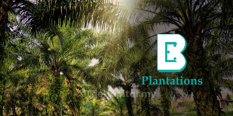 Untung Bersih Boustead Plantations Meningkat Kepada RM435.16 Juta Pada Suku Pertama