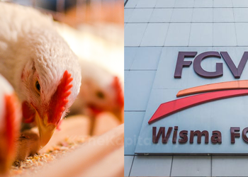 FGV Sasar Hasilkan 75,000 Tan Makanan Haiwan Tahun Ini