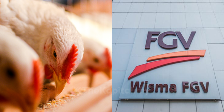 FGV Sasar Hasilkan 75,000 Tan Makanan Haiwan Tahun Ini