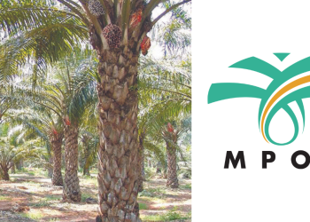 Inventori MSM Malaysia Naik 17.4 Peratus Pada April 2022 – MPOB