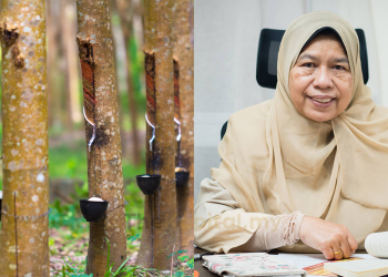 Pemain Industri Getah Perlu Pelbagai Ke Segmen Bukan Perubatan Untuk Kekal Relevan — Zuraida