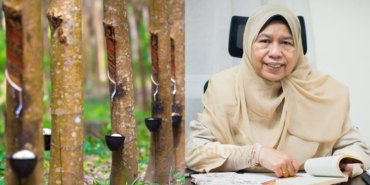 Pemain Industri Getah Perlu Pelbagai Ke Segmen Bukan Perubatan Untuk Kekal Relevan — Zuraida