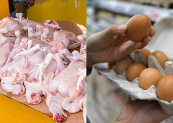 Harga Siling Baharu Ayam, Telur Bantu Kekang Kenaikan Ketara Inflasi Makanan – MIDF Research