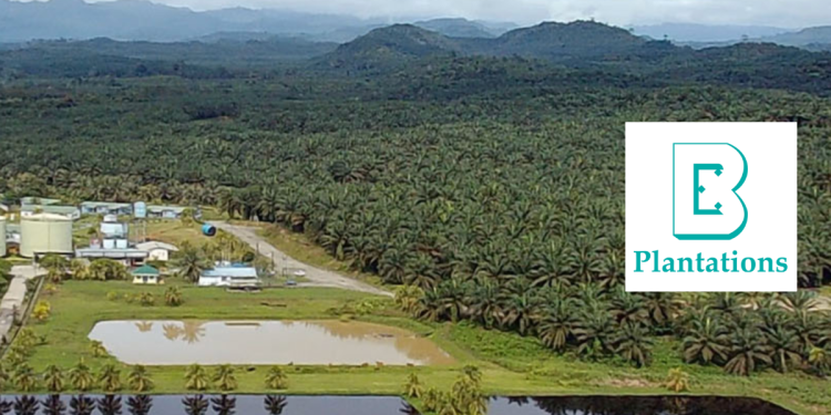 Untung Bersih Boustead Plantations Naik 51 Peratus