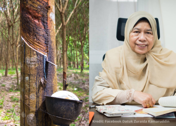 Harga Getah Dijangka Melepasi RM3.50 Sekilogram Pada Akhir 2022 – Zuraida