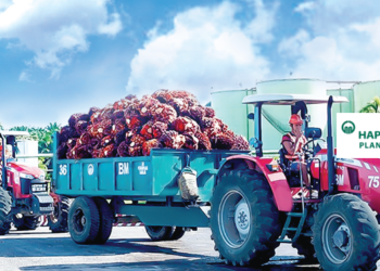 Untung Bersih Suku Kedua Hap Seng Plantation Naik Kepada RM66.90 Juta