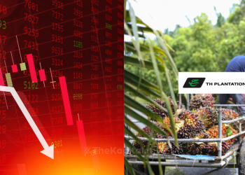 Keuntungan Bersih TH Plantations Susut 63 Peratus Kepada RM9.76 Juta