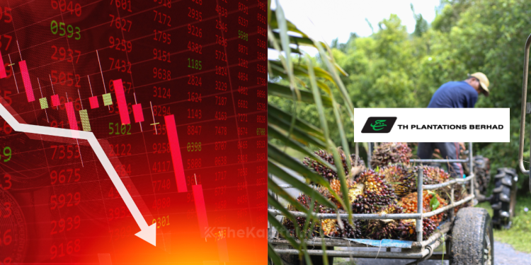 Keuntungan Bersih TH Plantations Susut 63 Peratus Kepada RM9.76 Juta