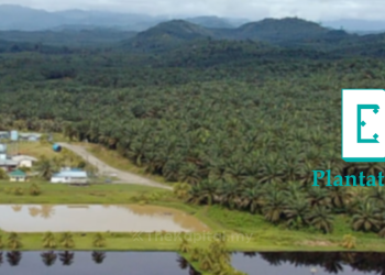 Anak Syarikat BPB Teroka Pasaran Tanaman Komersial Berpandukan Teknologi, Mampan