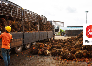 Kekurangan Penuai Sawit Beri Impak Keuntungan Dari Malaysia – SDP