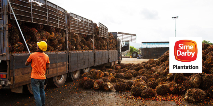 Kekurangan Penuai Sawit Beri Impak Keuntungan Dari Malaysia – SDP