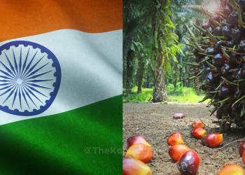 India Import 353,556 Tan Minyak Sawit Malaysia Pada Ogos 2022