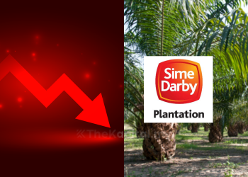 Untung Bersih Sime Darby Plantation Merosot Kepada RM396 Juta Pada Suku Ketiga