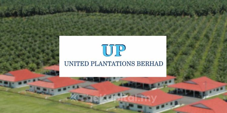 Untung Bersih Suku Kedua United Plantations Naik Kepada RM185.94 Juta
