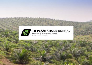 Untung Bersih Suku Ketiga TH Plantations Melonjak Kepada RM21.55 Juta